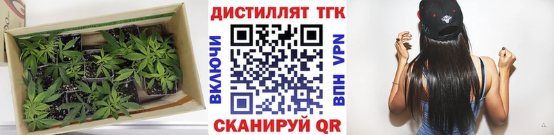 ТГК THC oil  Верхняя Пышма 